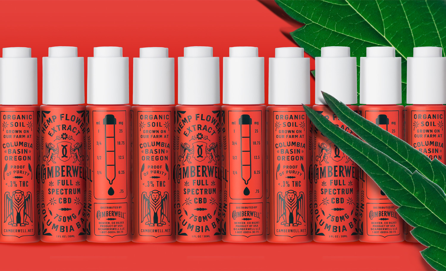 1500x912 KCS Camberwell 06 d Camberwell Cannabis Branding Product Design
