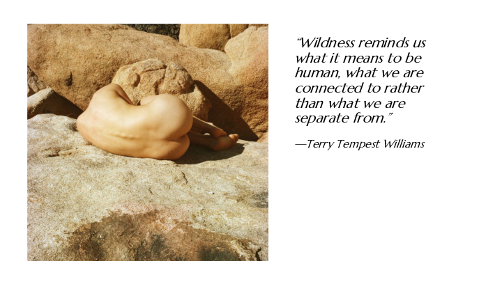 Satellite-KCS-x-Formehri-Case-Study-converted[20]