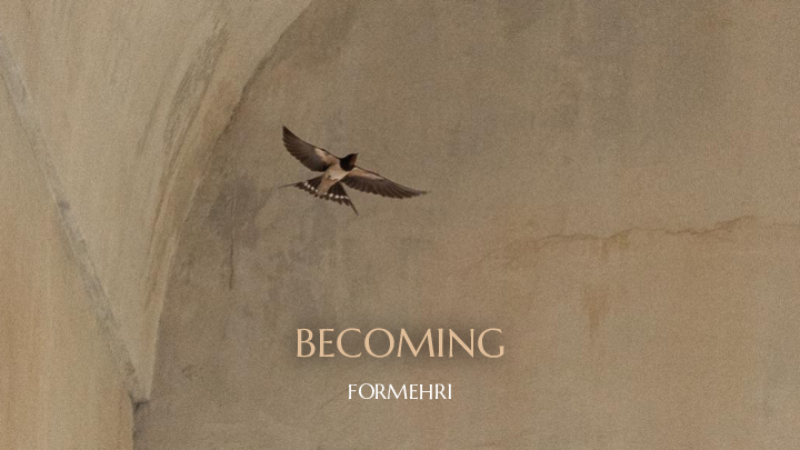 Satellite-KCS-x-Formehri-Case-Study-converted[34]