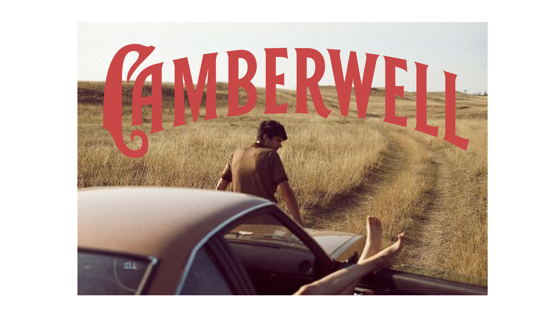 Satellite-Camberwell-Cannabis-Case-Study-converted[126]