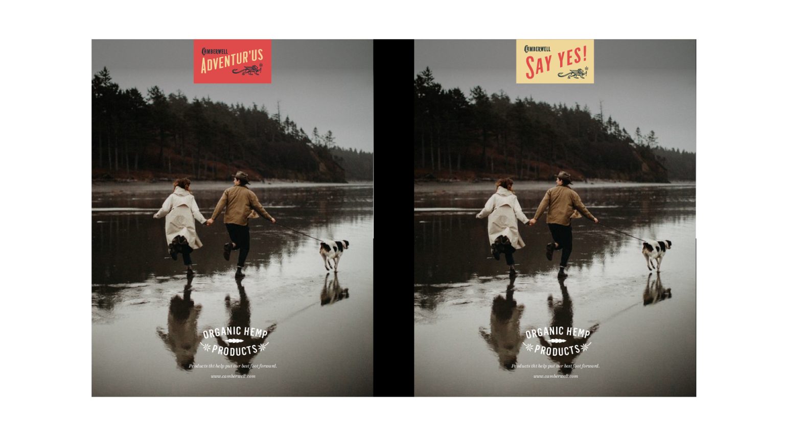 Satellite-Camberwell-Cannabis-Case-Study-converted[128]