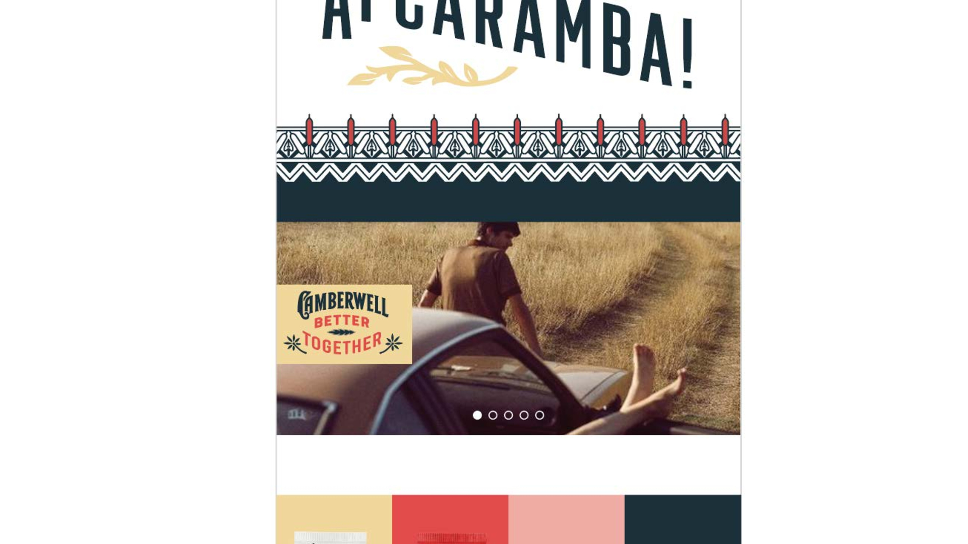 Satellite-Camberwell-Cannabis-Case-Study-converted[134]