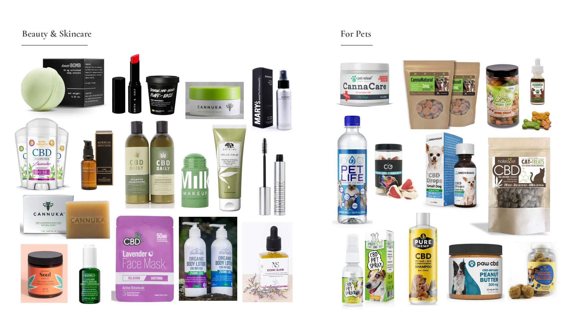 Satellite-Camberwell-Cannabis-Case-Study-converted[19]