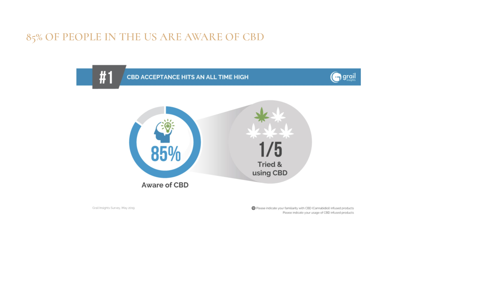 Satellite-Camberwell-Cannabis-Case-Study-converted[29]
