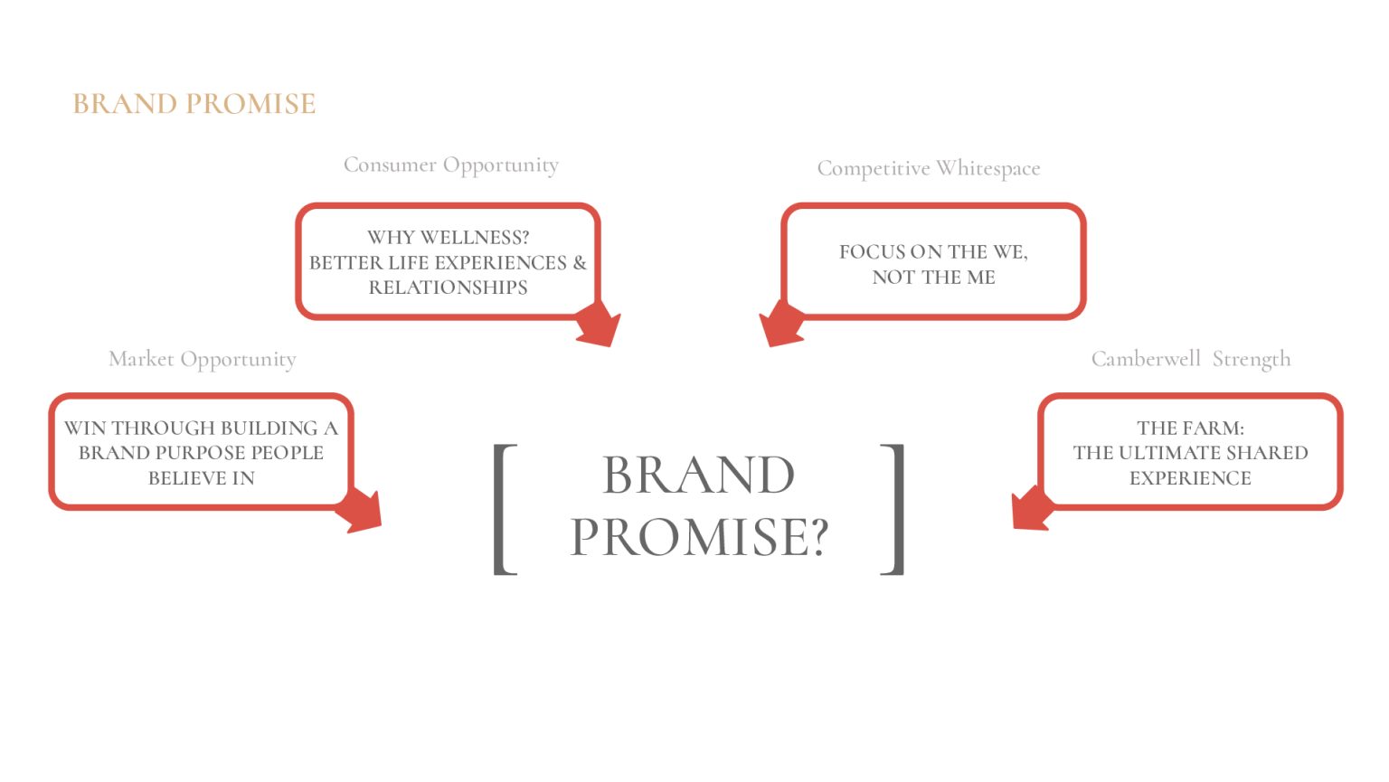 Satellite-Camberwell-Cannabis-Case-Study-converted[51]