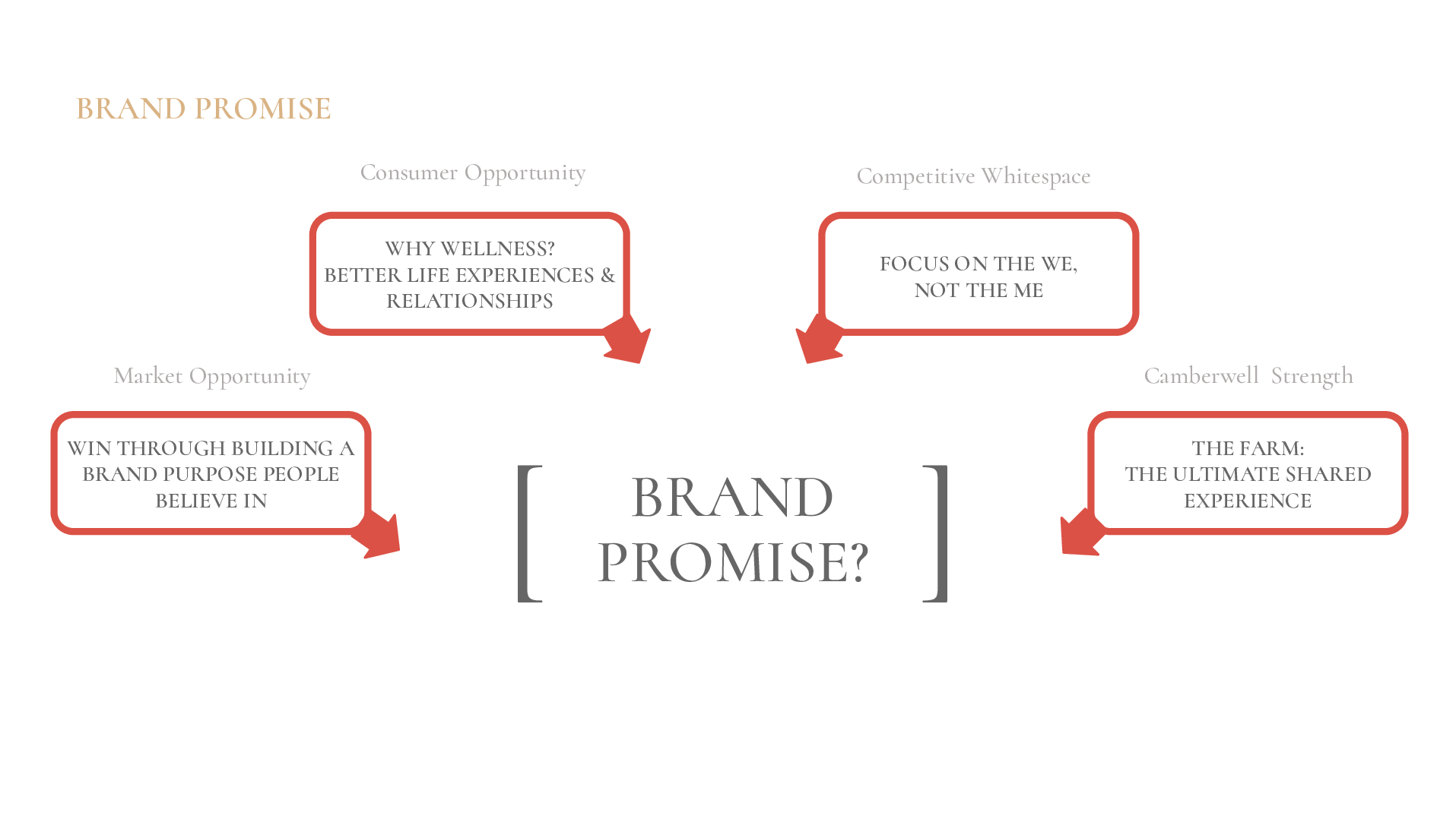 Satellite-Camberwell-Cannabis-Case-Study-converted[51]