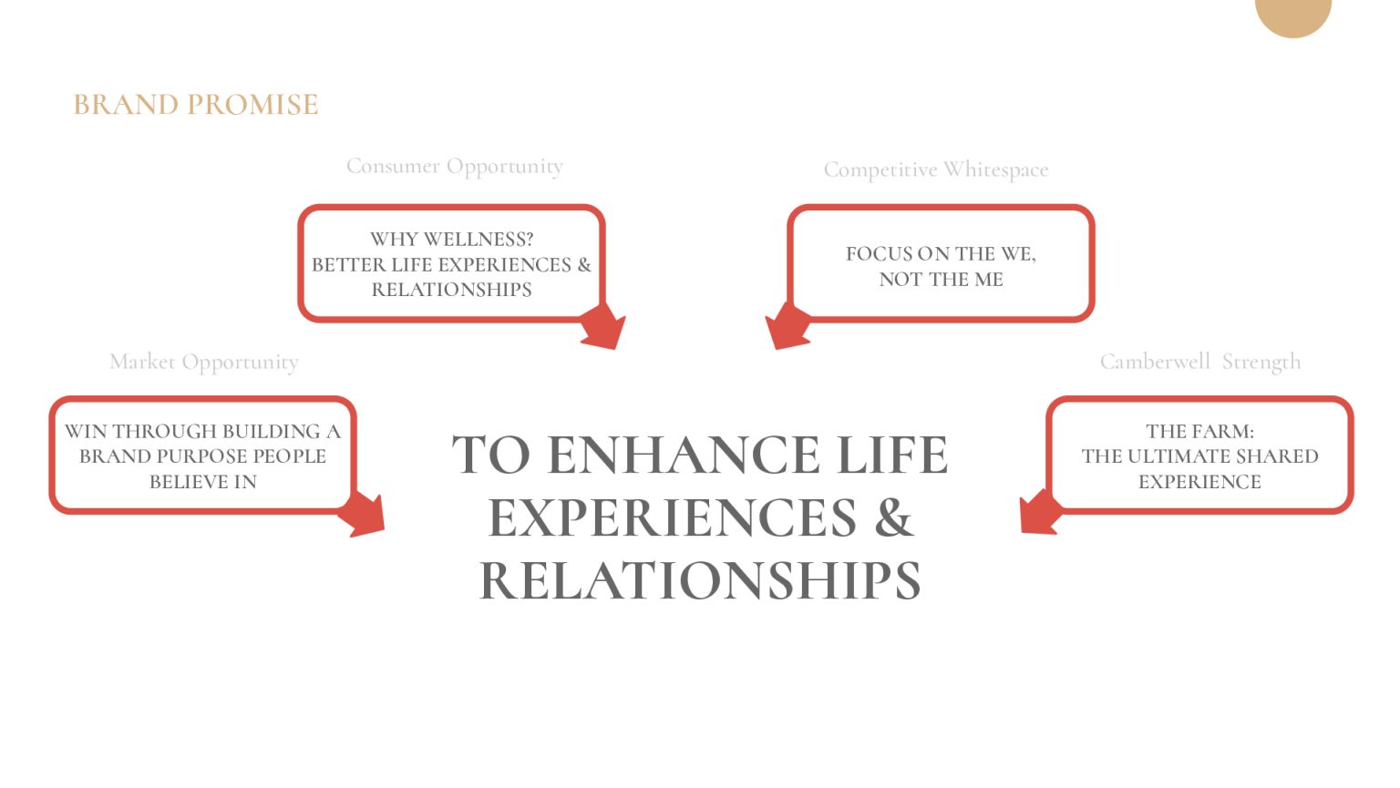 Satellite-Camberwell-Cannabis-Case-Study-converted[52]