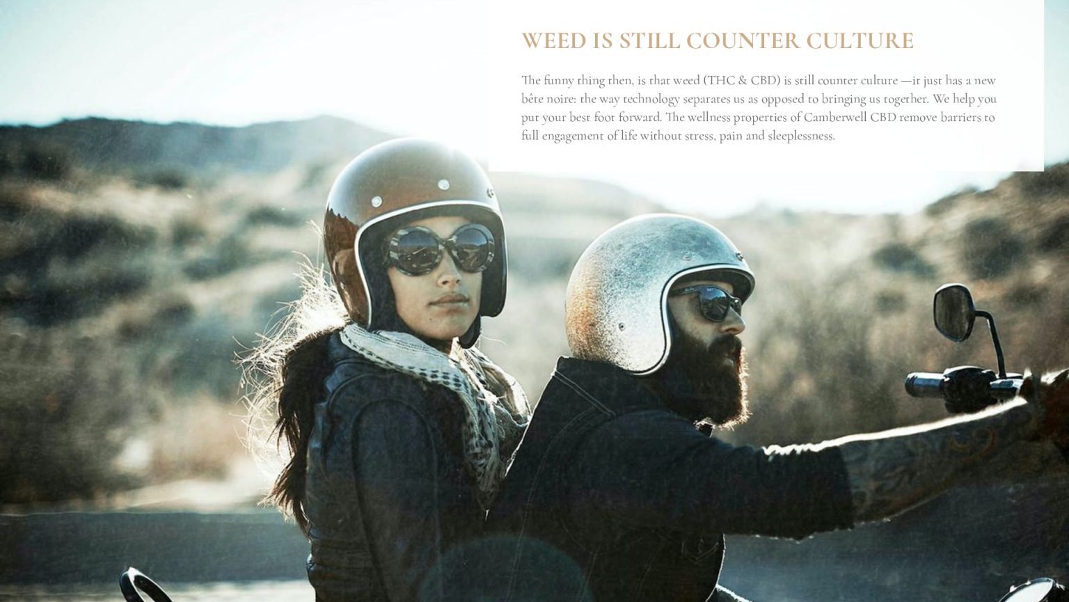 Satellite-Camberwell-Cannabis-Case-Study-converted[65]