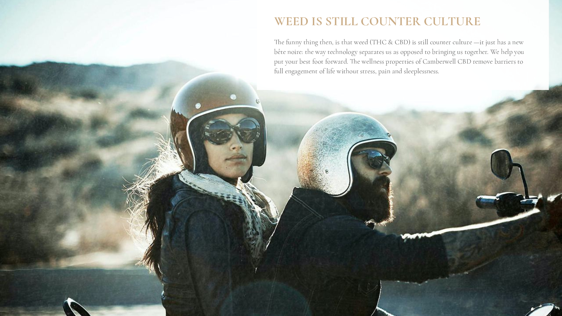 Satellite-Camberwell-Cannabis-Case-Study-converted[65]