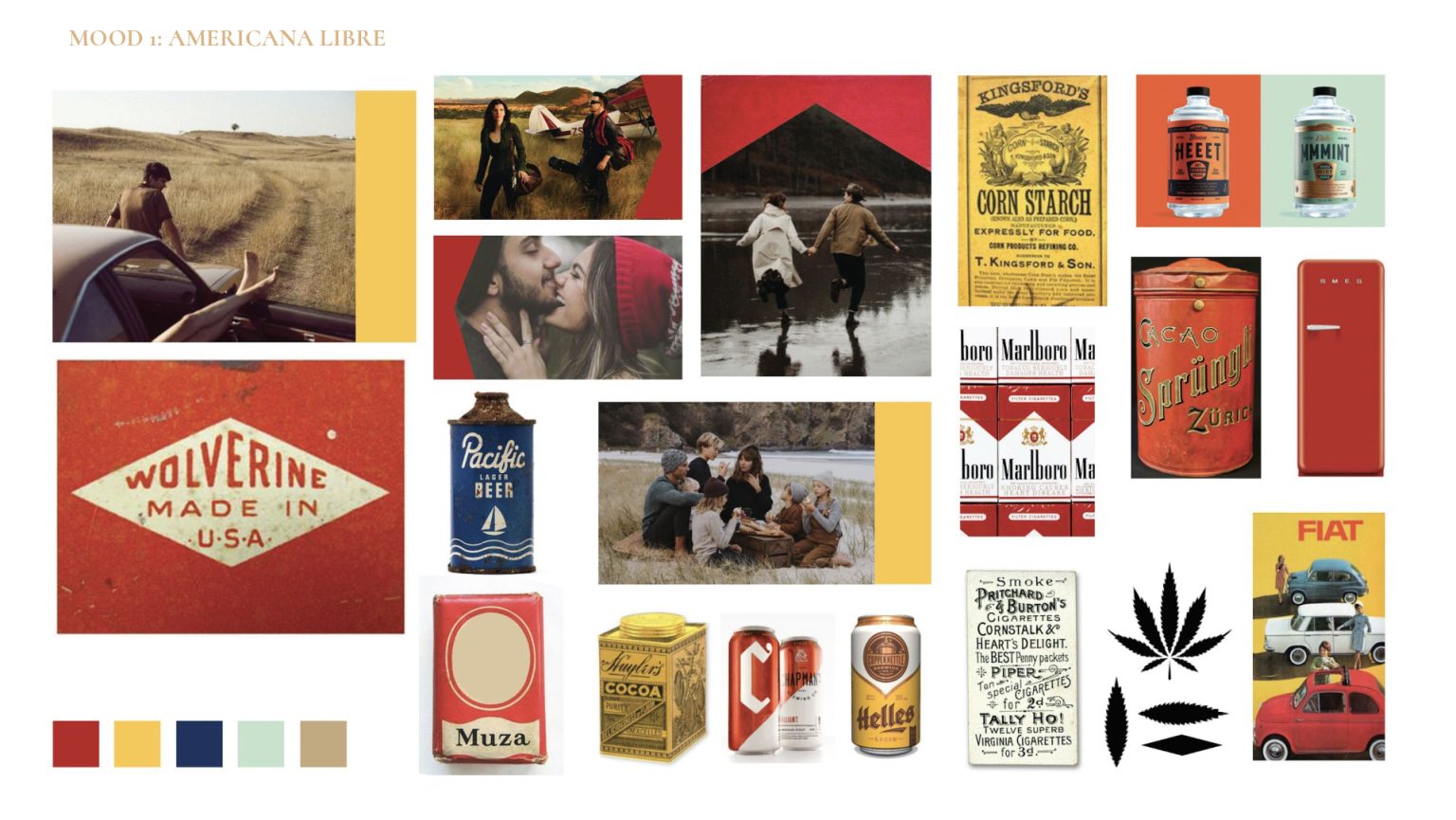 Satellite-Camberwell-Cannabis-Case-Study-converted[70]