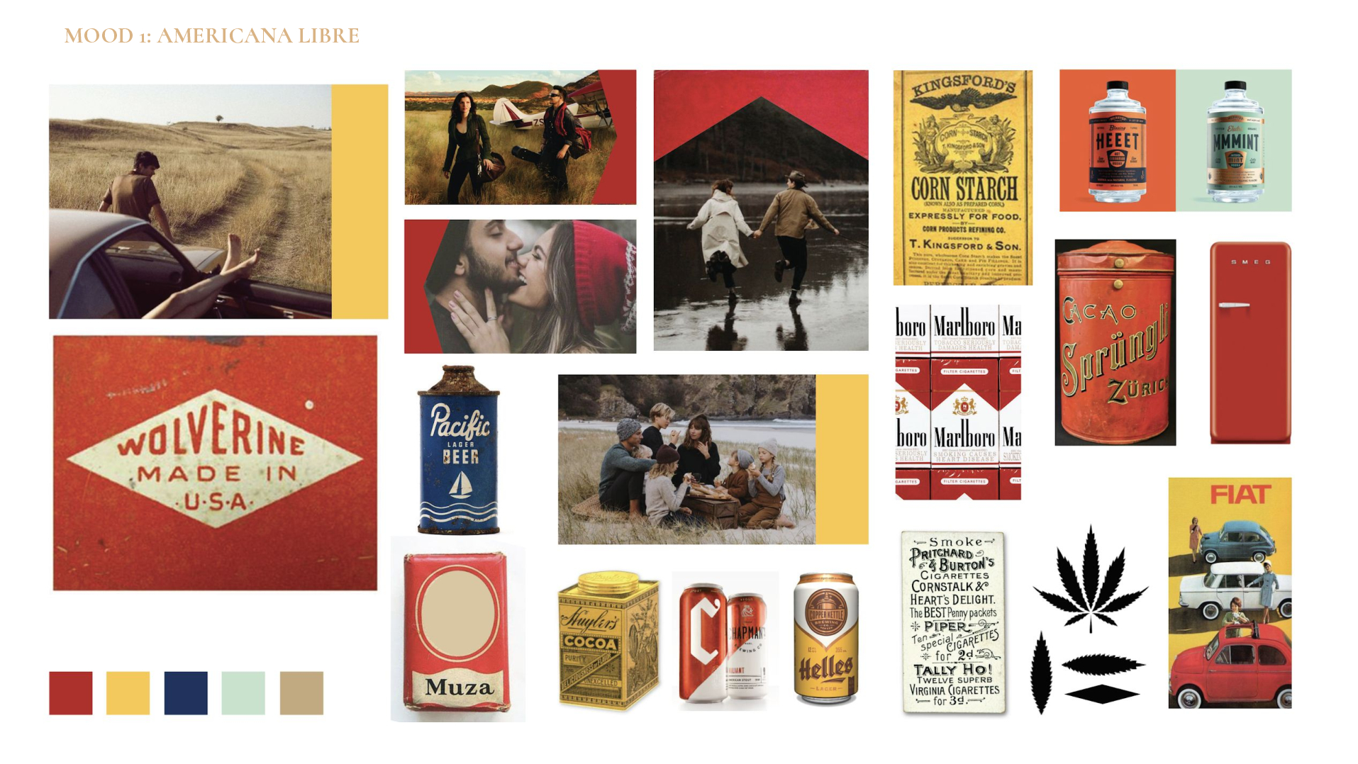 Satellite-Camberwell-Cannabis-Case-Study-converted[70]